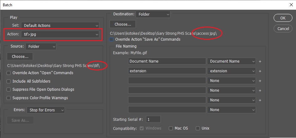 Screenshot showing selections within Adobe's batch process feature